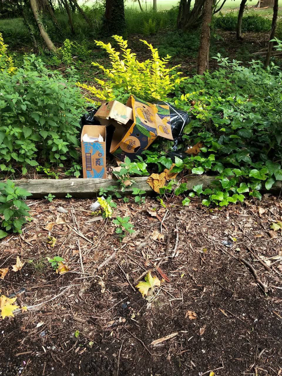 The photograph attached to this rubbish/recycling report