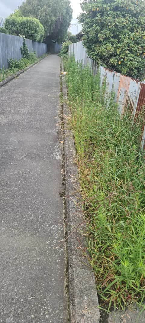 Roading/Streets — a report photo