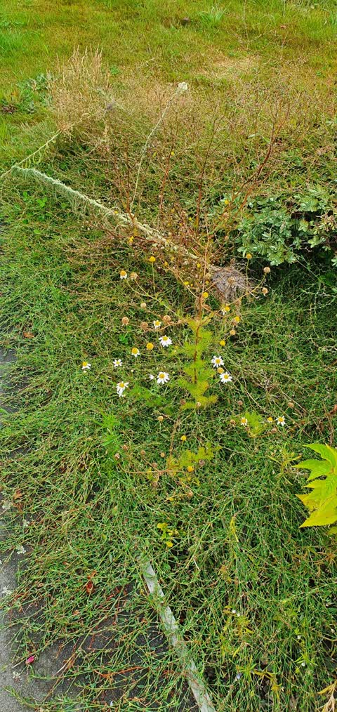 Parks, a report photo