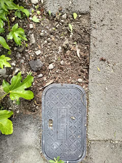 Roading/Streets, a report photo