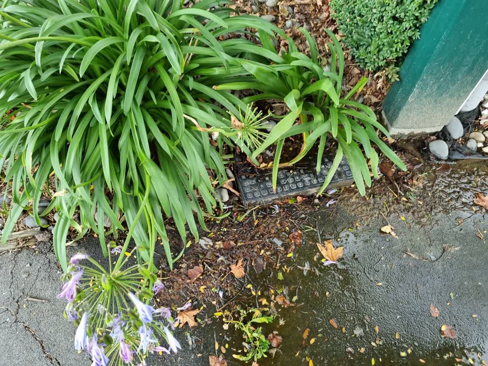 The photograph attached to this water leak report