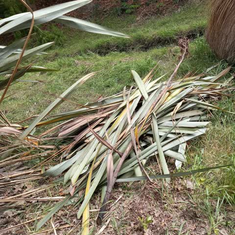 Rubbish/Recycling, a report photo