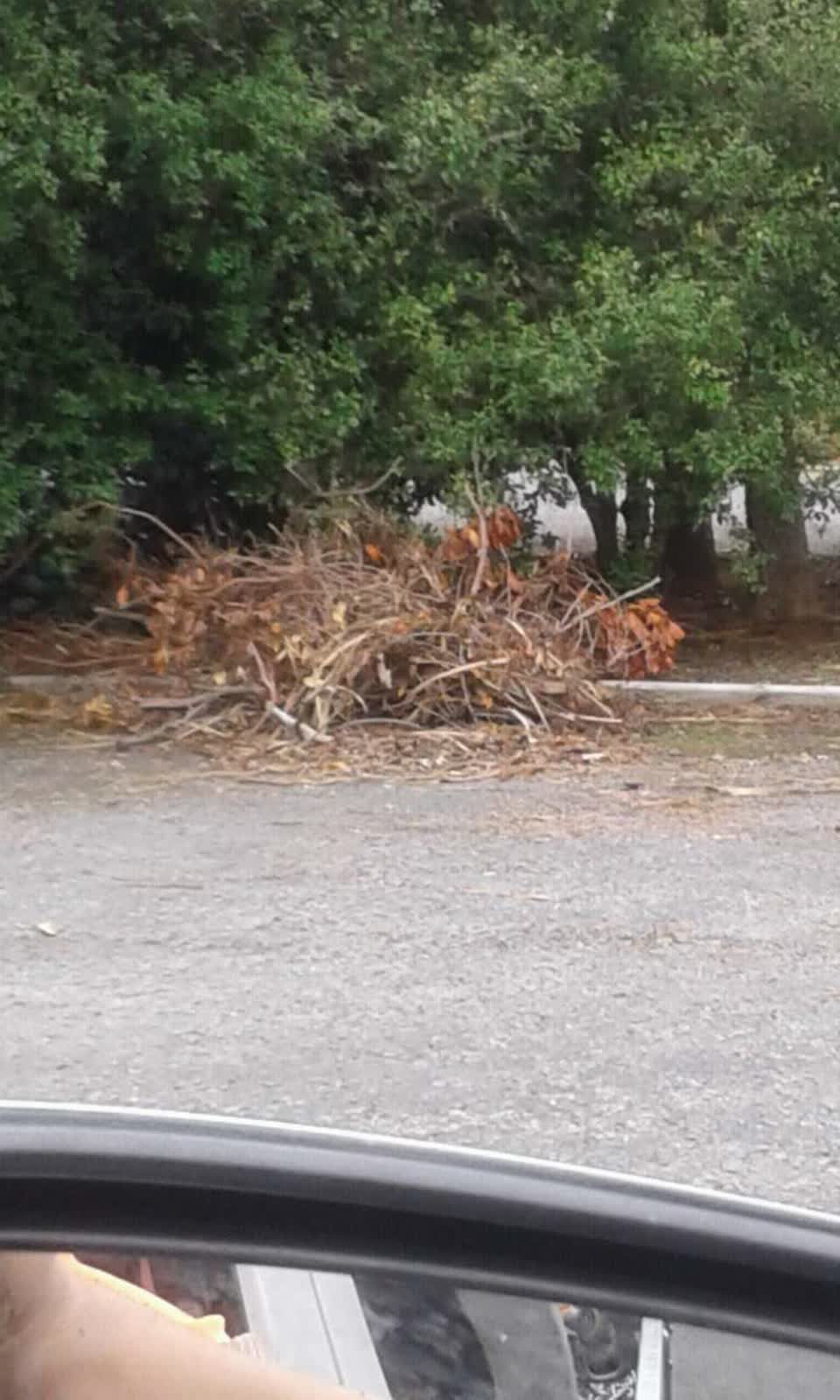 The photograph attached to this parks report