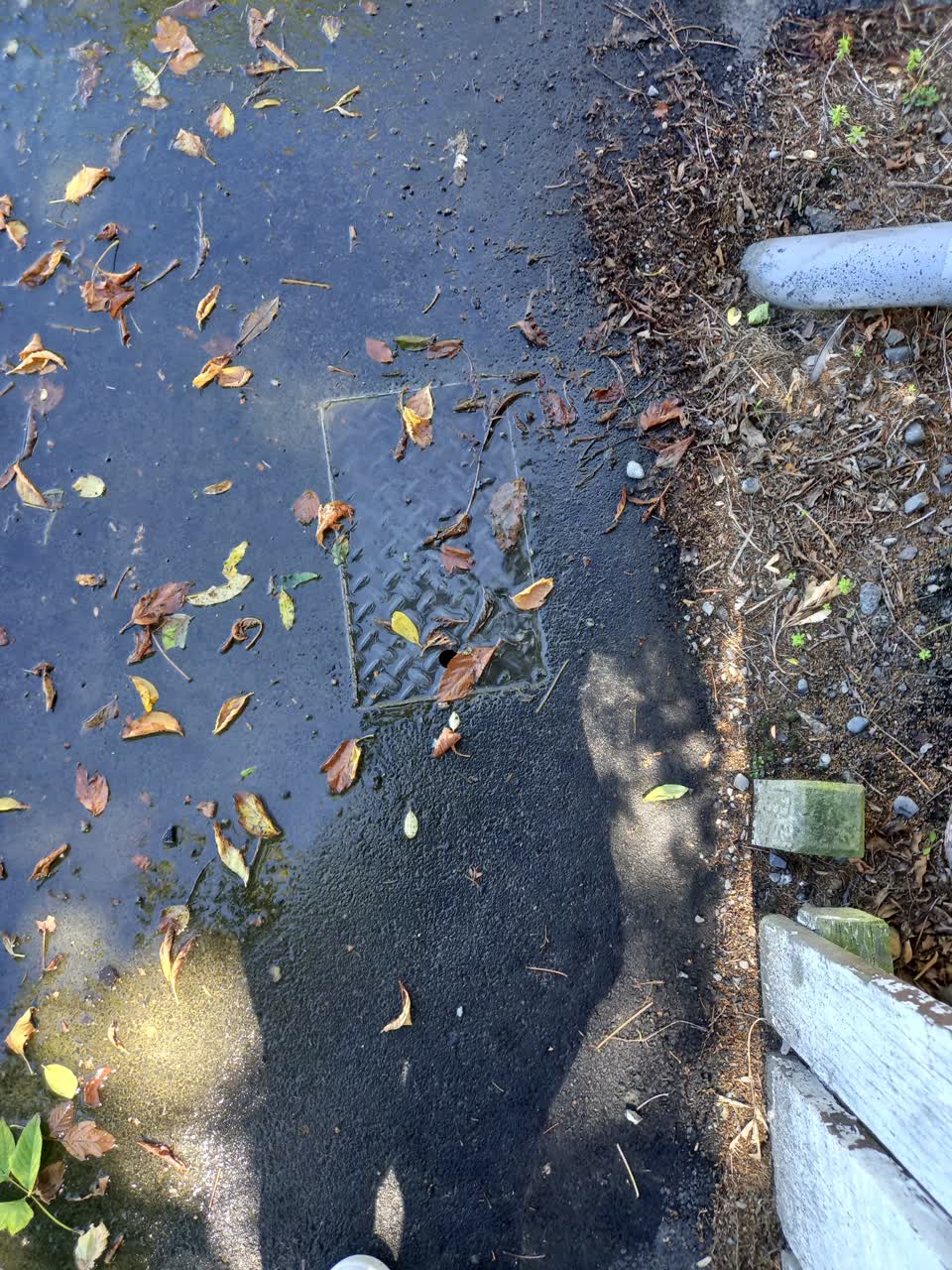 The photograph attached to this water leak report