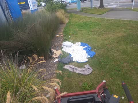 Parks, a report photo