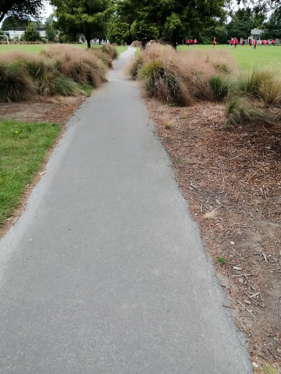 The photograph attached to this parks report