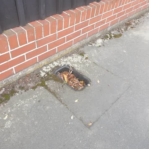 Roading/Streets, a report photo