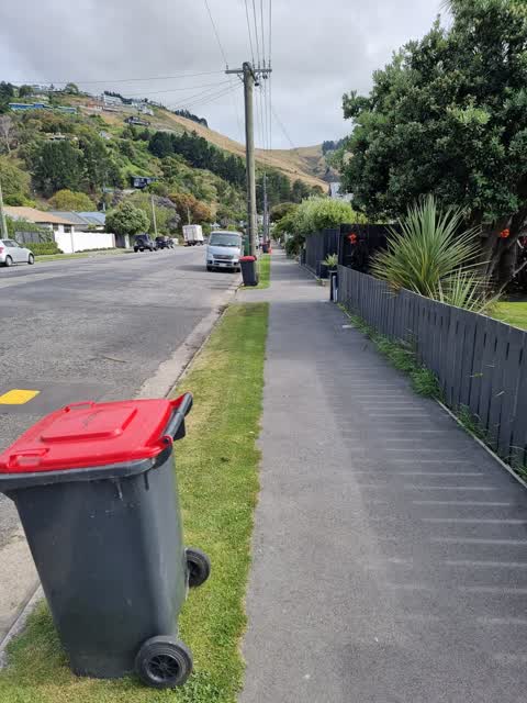 Rubbish/Recycling, a report photo