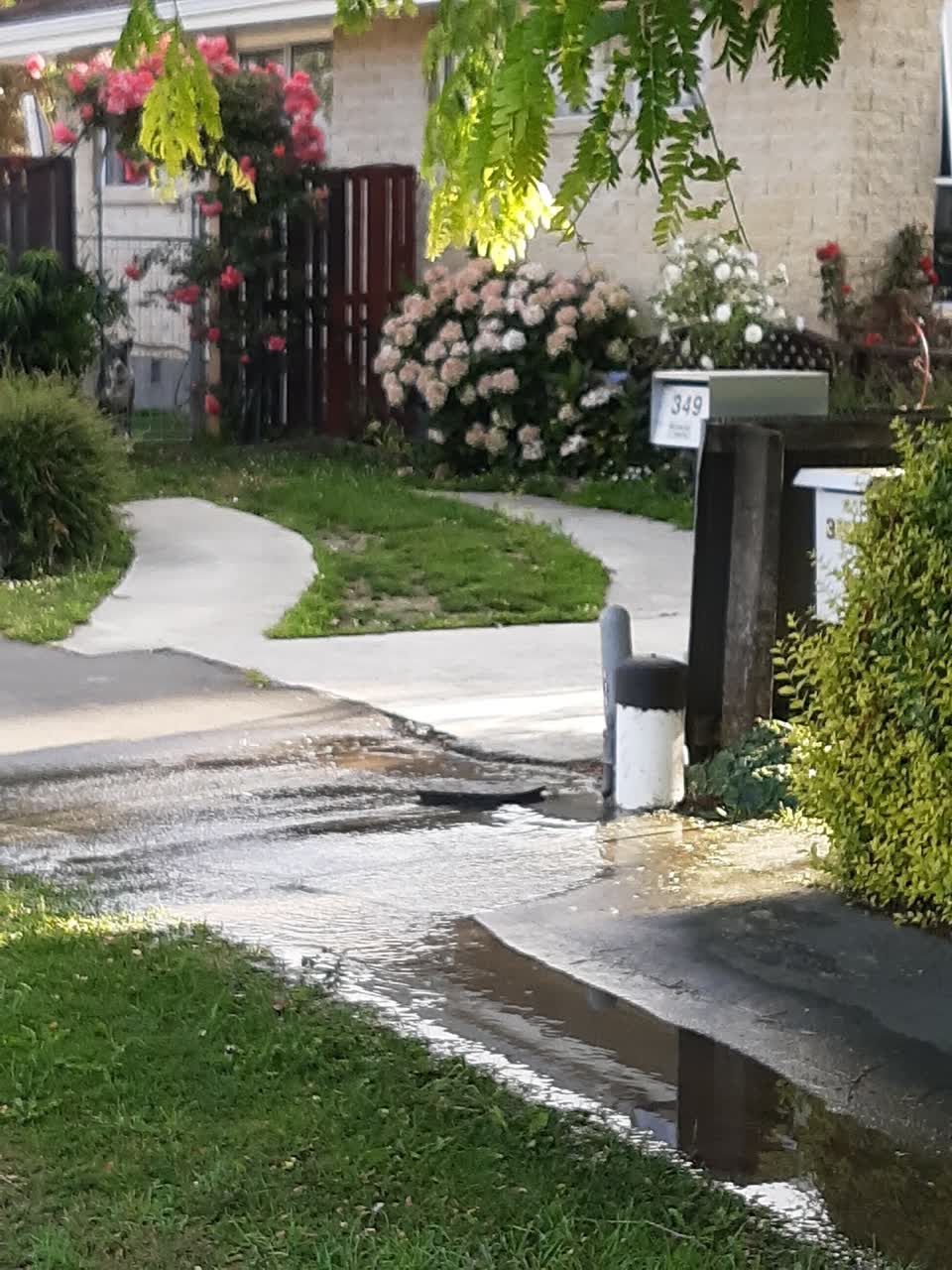 The photograph attached to this water leak report
