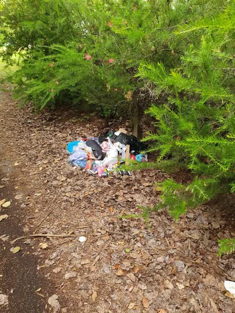 Rubbish/Recycling, a report photo