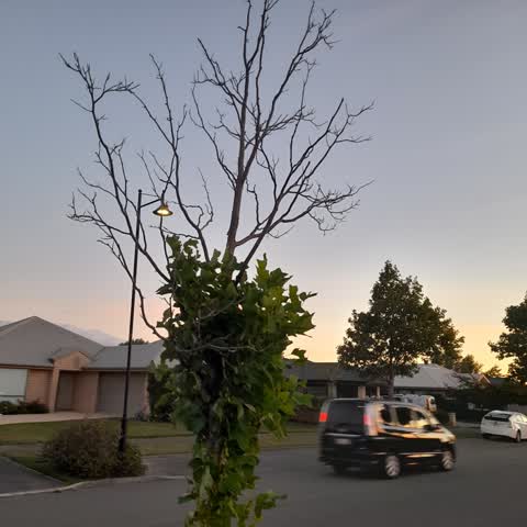 Parks, a report photo