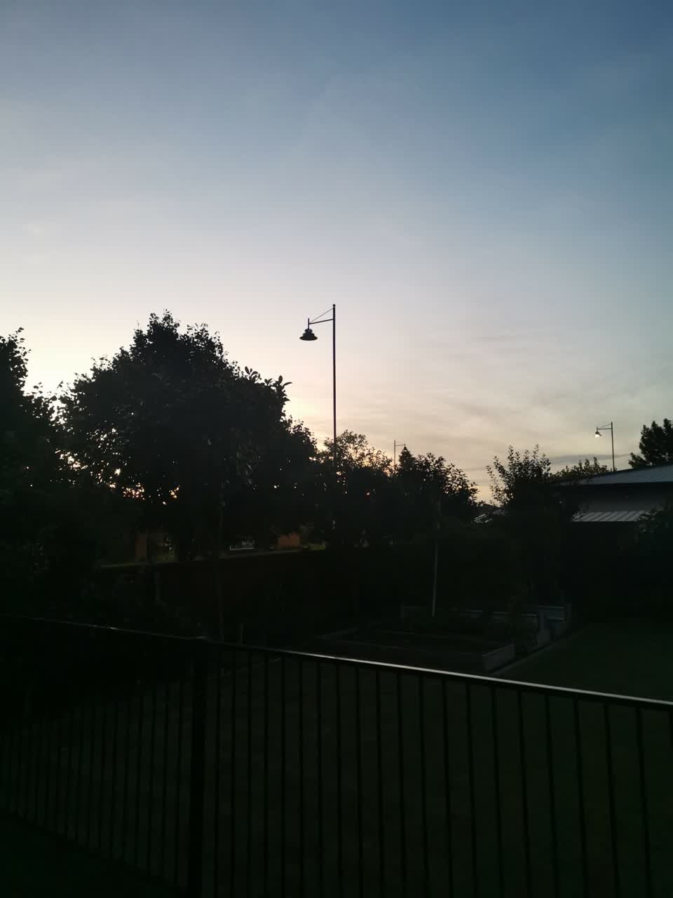 The photograph attached to this street light outage report