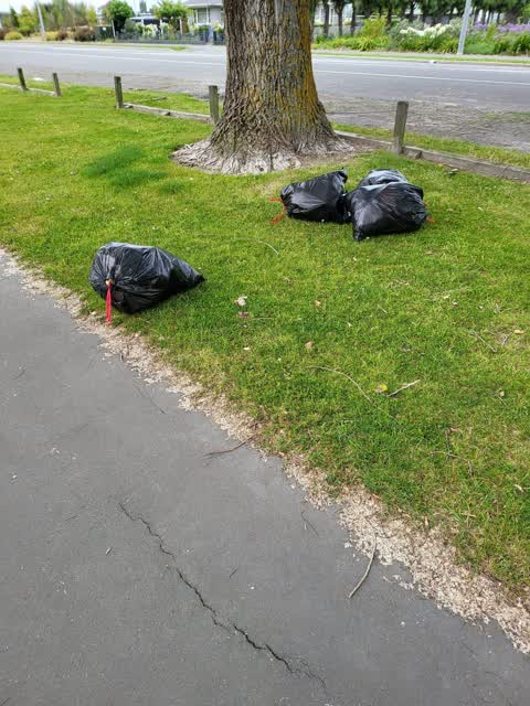 Rubbish/Recycling, a report photo