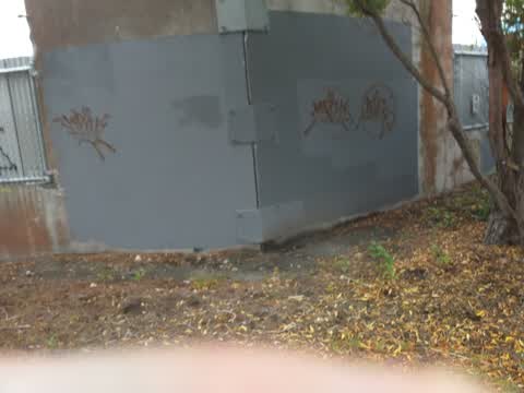 Graffiti — a report photo