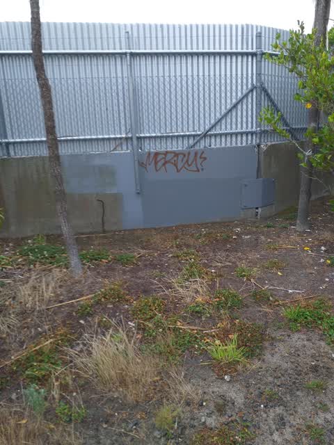 Graffiti — a report photo