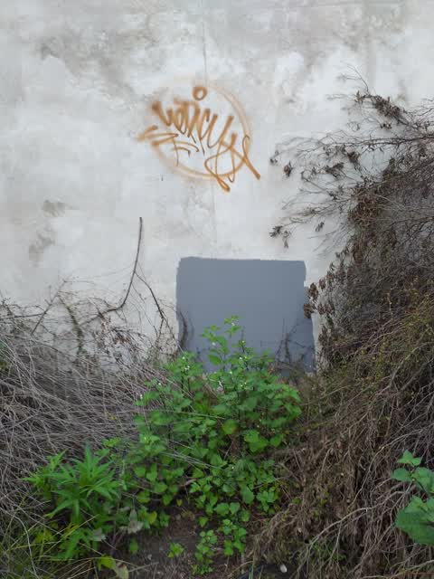 Graffiti — a report photo