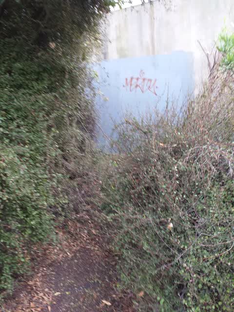 Graffiti — a report photo
