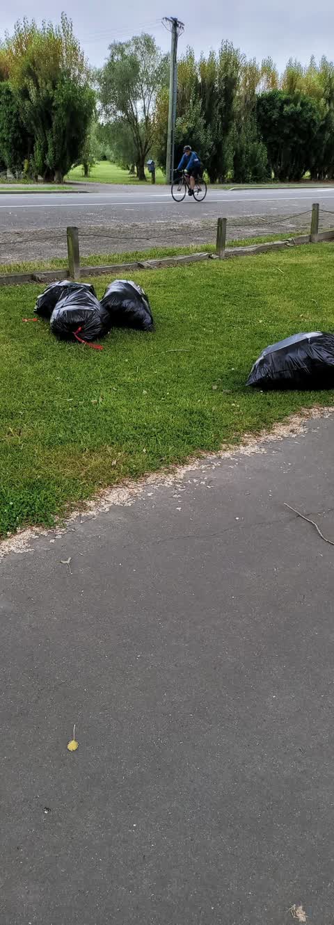 Rubbish/Recycling, a report photo