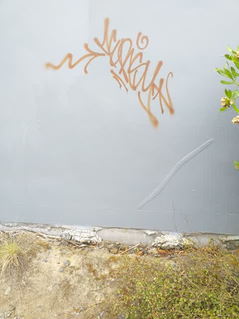 Graffiti, a report photo