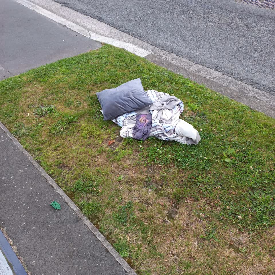 The photograph attached to this rubbish/recycling report