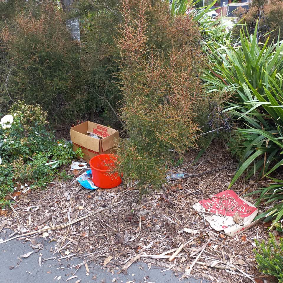 The photograph attached to this rubbish/recycling report