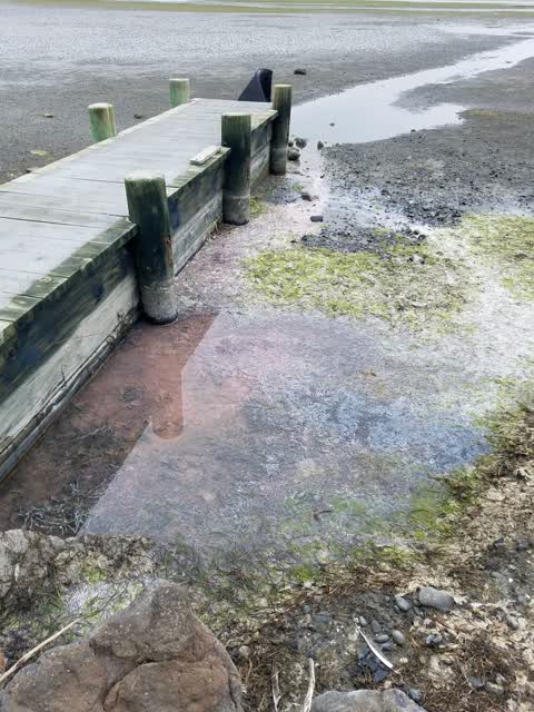 Wastewater/Stormwater, a report photo