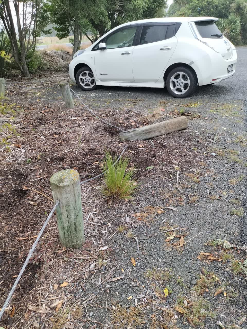 The photograph attached to this parks report