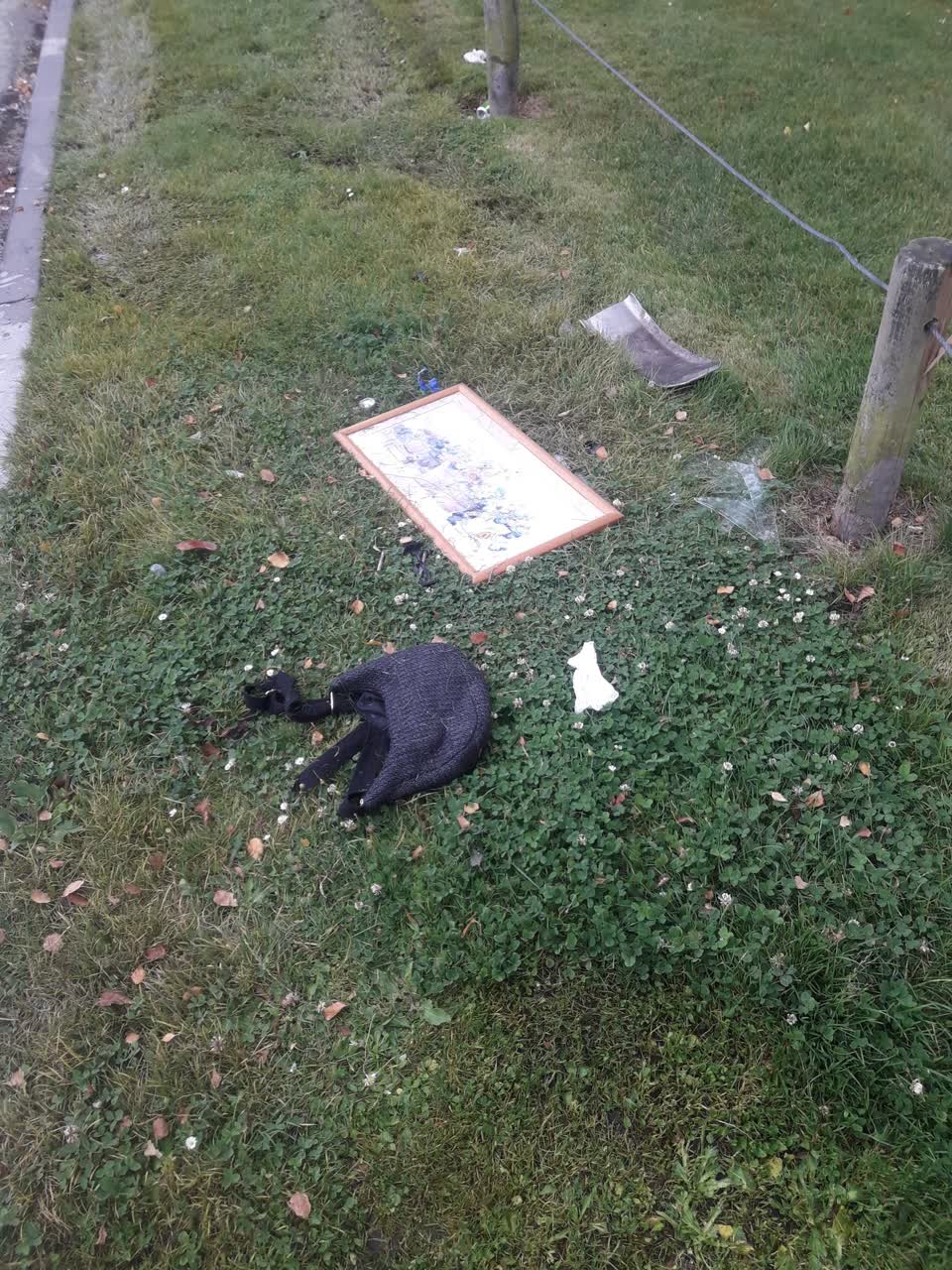 The photograph attached to this rubbish/recycling report