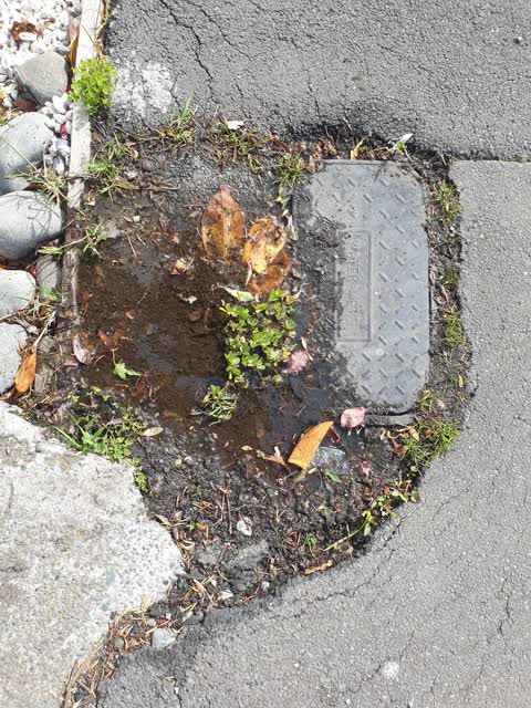 Water Leak, a report photo