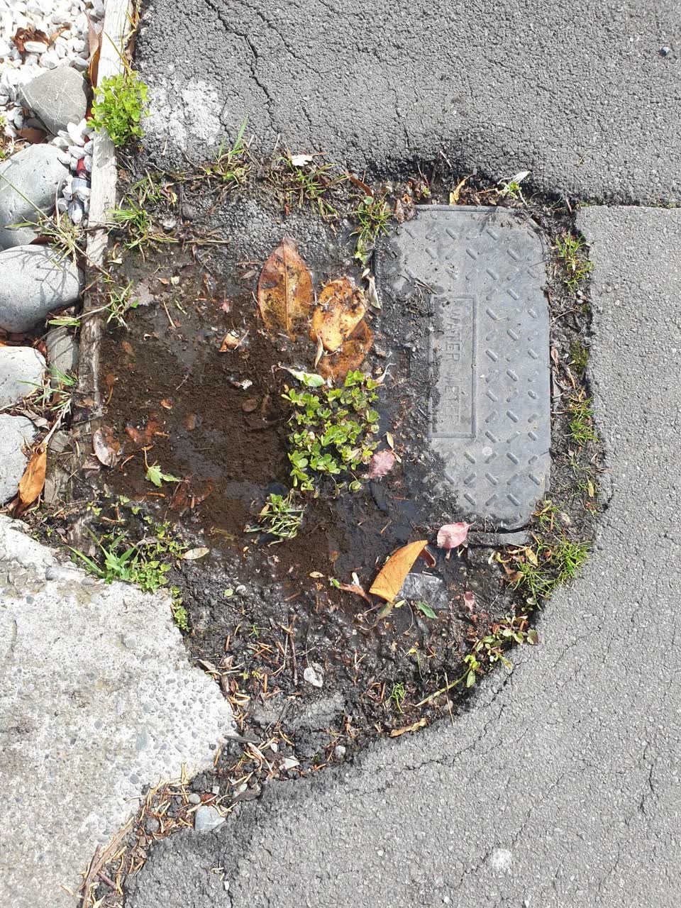 The photograph attached to this water leak report