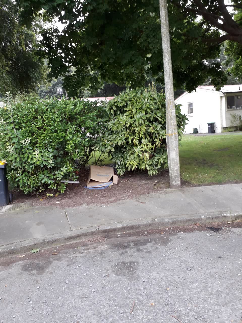 The photograph attached to this rubbish/recycling report