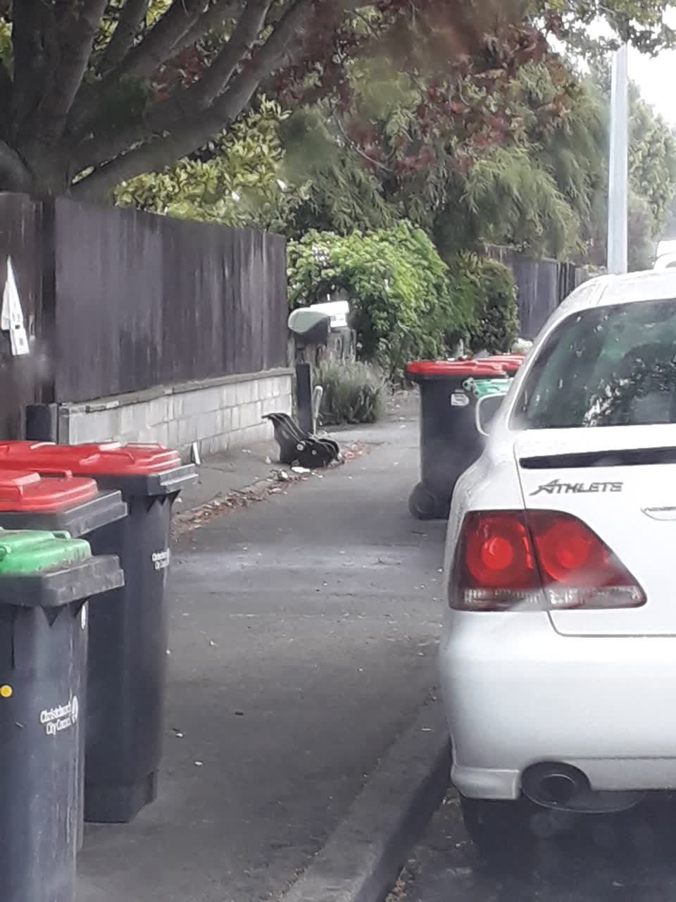 The photograph attached to this rubbish/recycling report