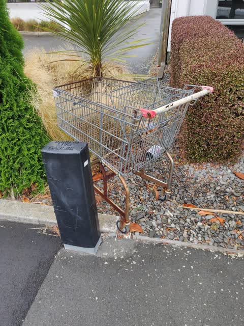 Rubbish/Recycling, a report photo
