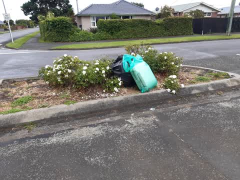 Rubbish/Recycling, a report photo