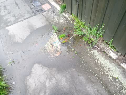 Water Leak, a report photo