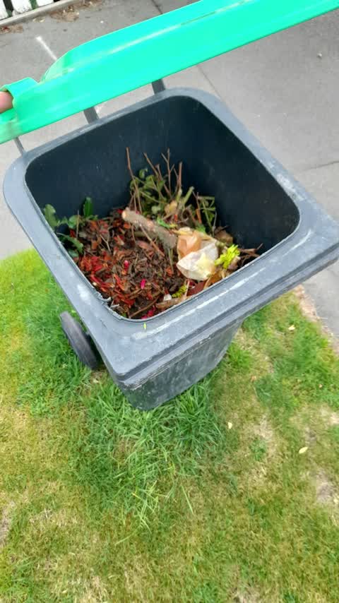 Rubbish/Recycling, a report photo
