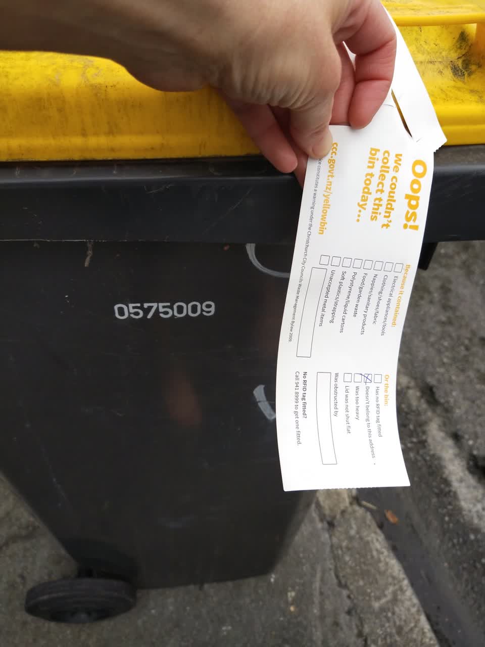 The photograph attached to this rubbish/recycling report