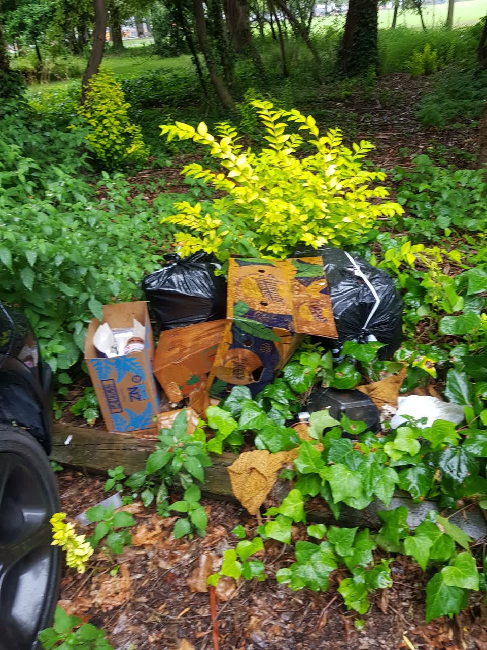The photograph attached to this rubbish/recycling report
