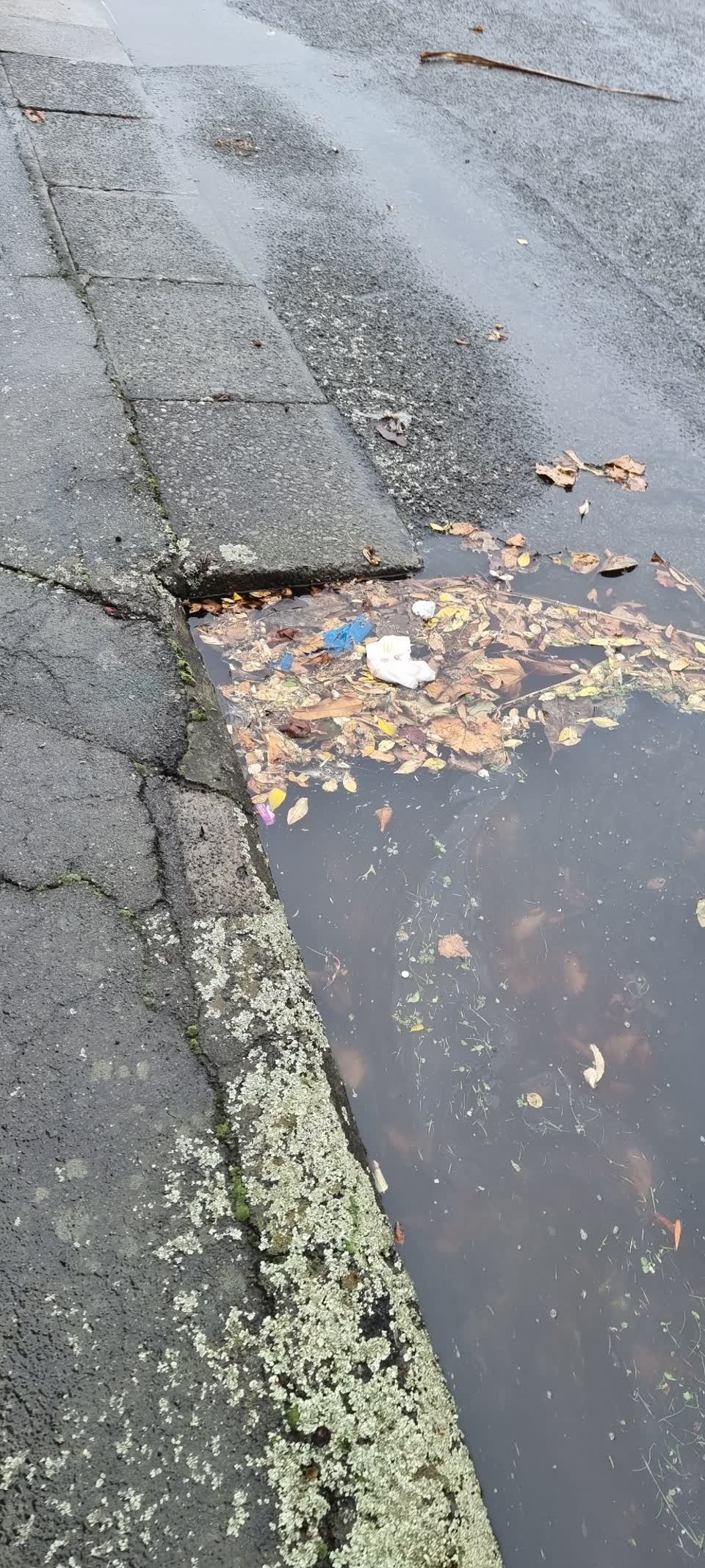The photograph attached to this wastewater/stormwater report