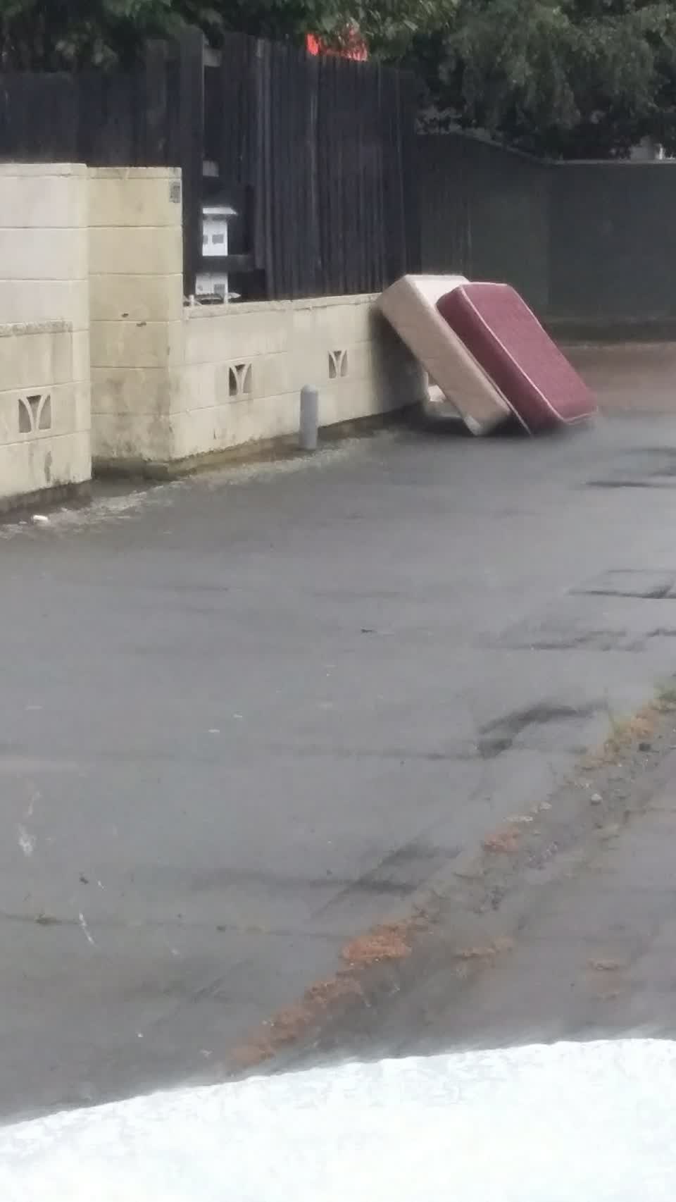 The photograph attached to this rubbish/recycling report