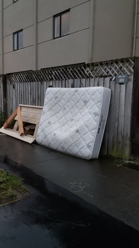 Rubbish/Recycling, a report photo