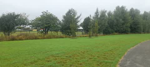 Parks, a report photo