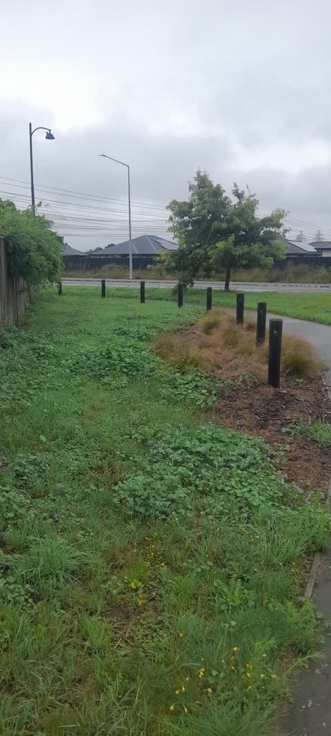 Roading/Streets, a report photo