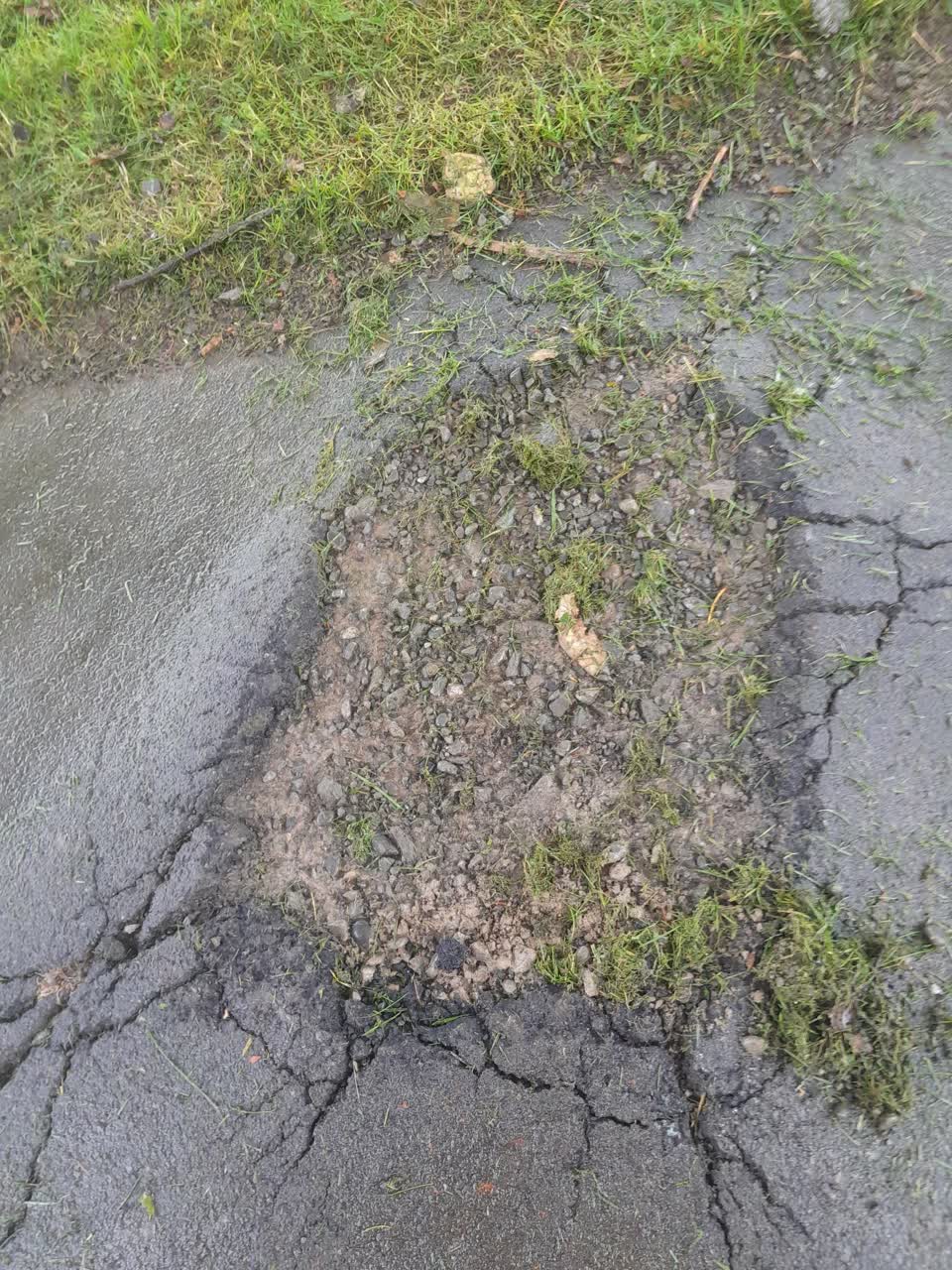 The photograph attached to this parks report
