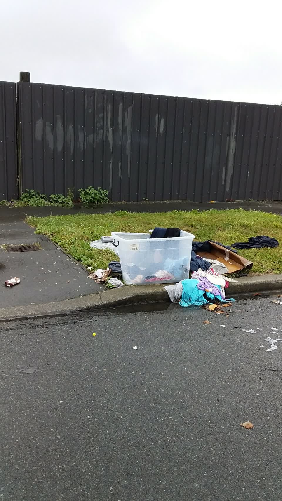 The photograph attached to this rubbish/recycling report
