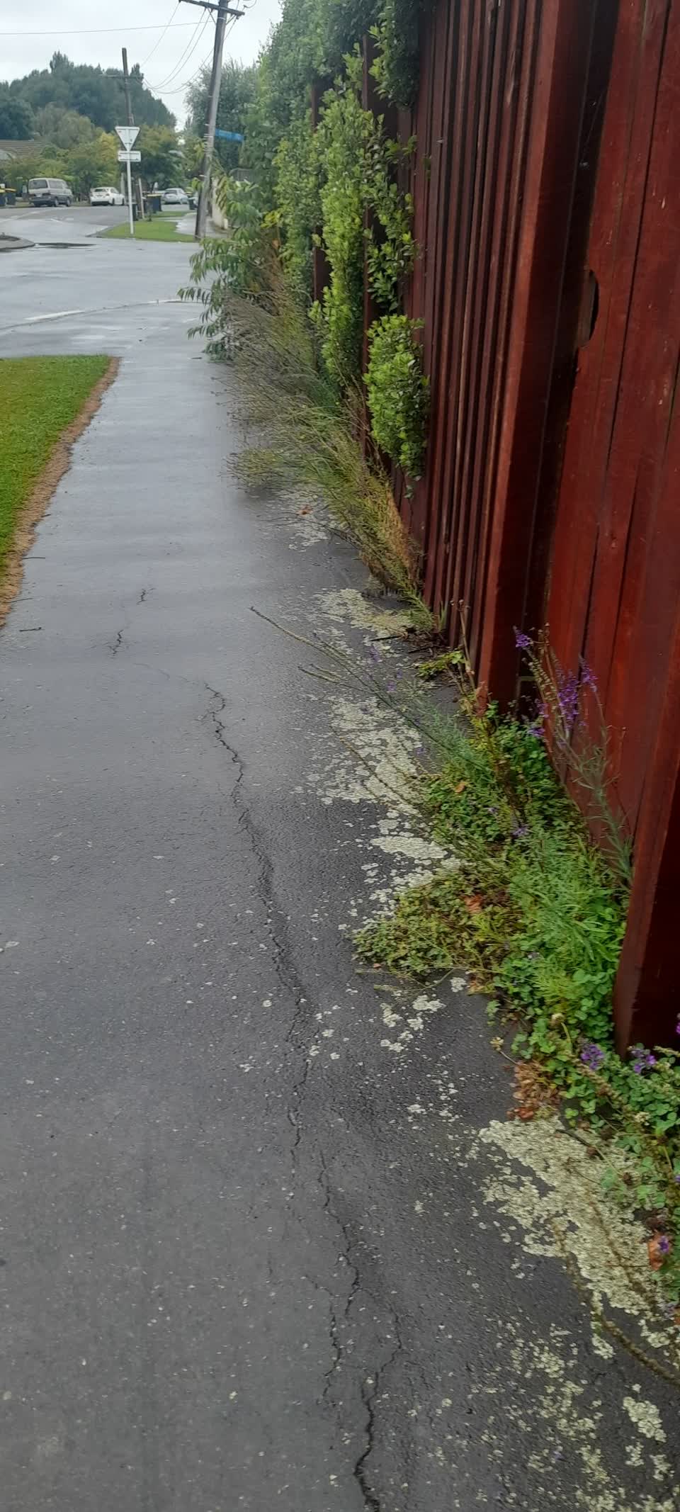 The photograph attached to this roading/streets report