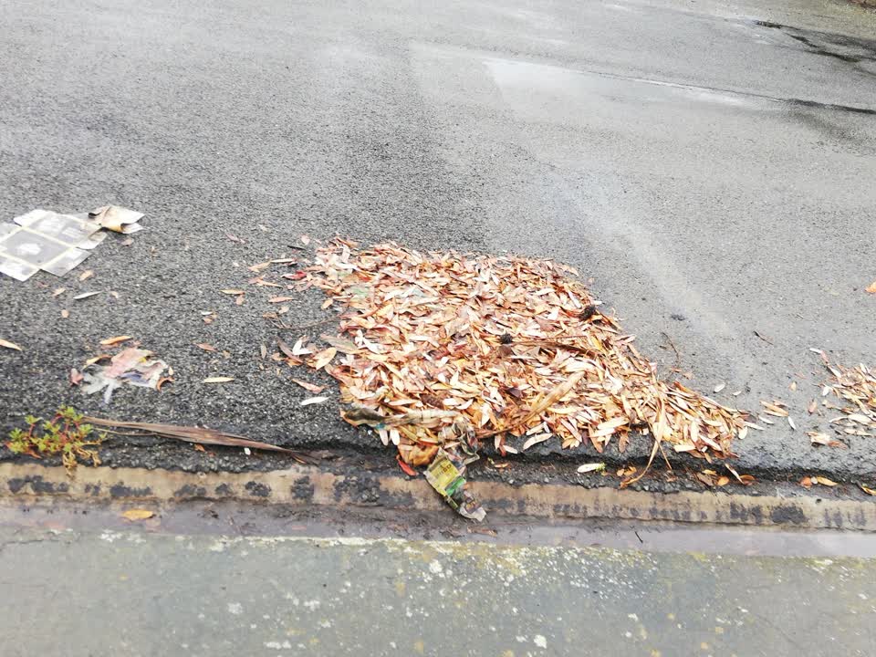 The photograph attached to this wastewater/stormwater report