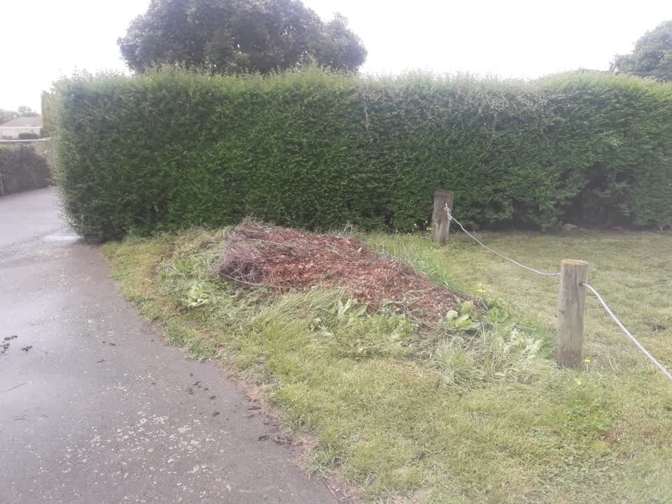 The photograph attached to this parks report
