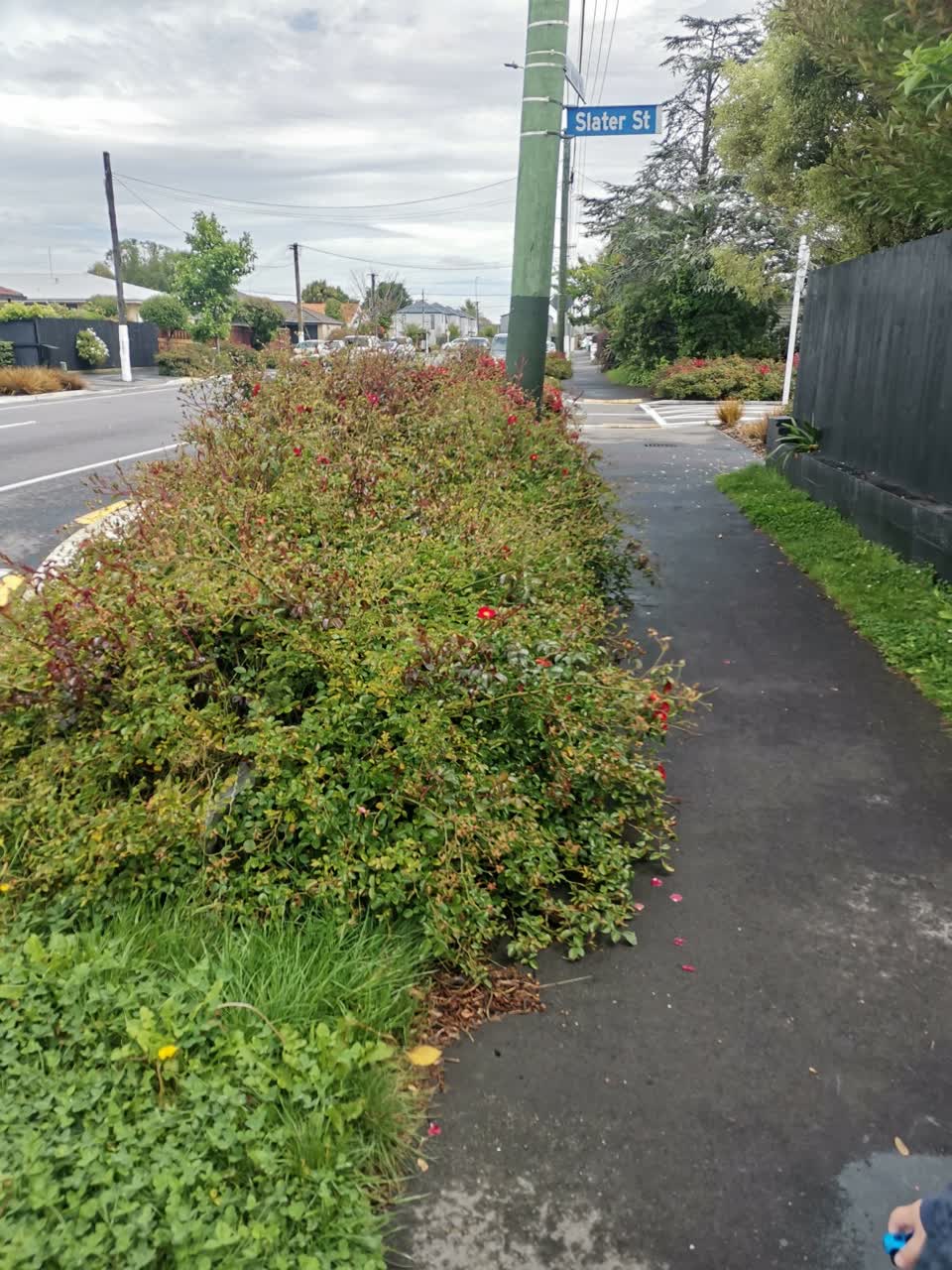 The photograph attached to this roading/streets report