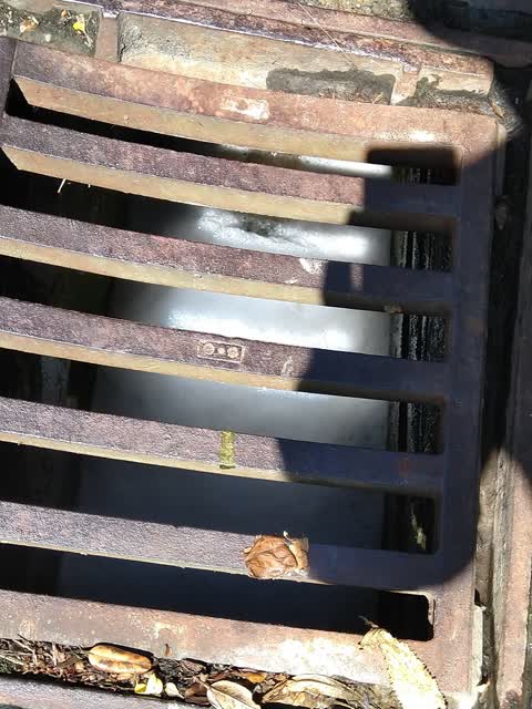 Wastewater/Stormwater, a report photo